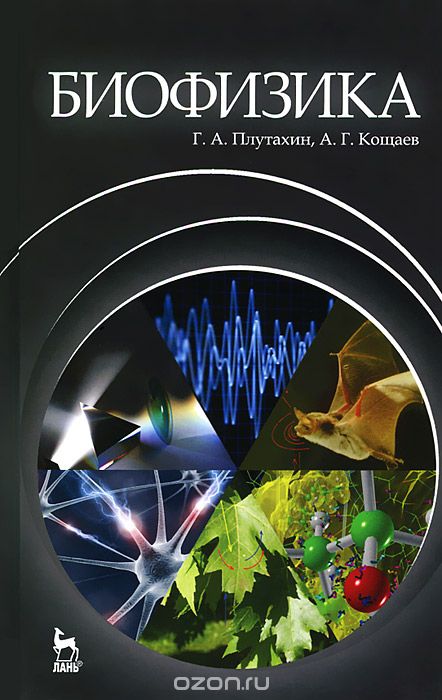 Скачать книгу "Биофизика, Г. А. Плутахин, А. Г. Кощаев"