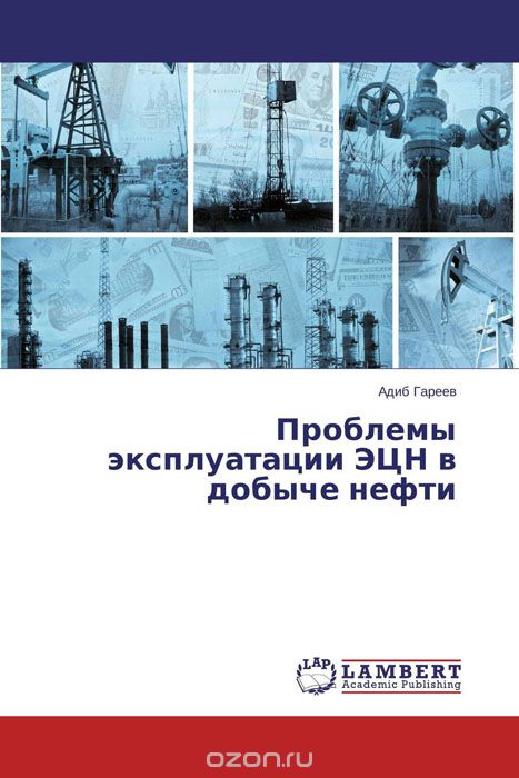Проблемы эксплуатации ЭЦН в добыче нефти, Адиб Гареев