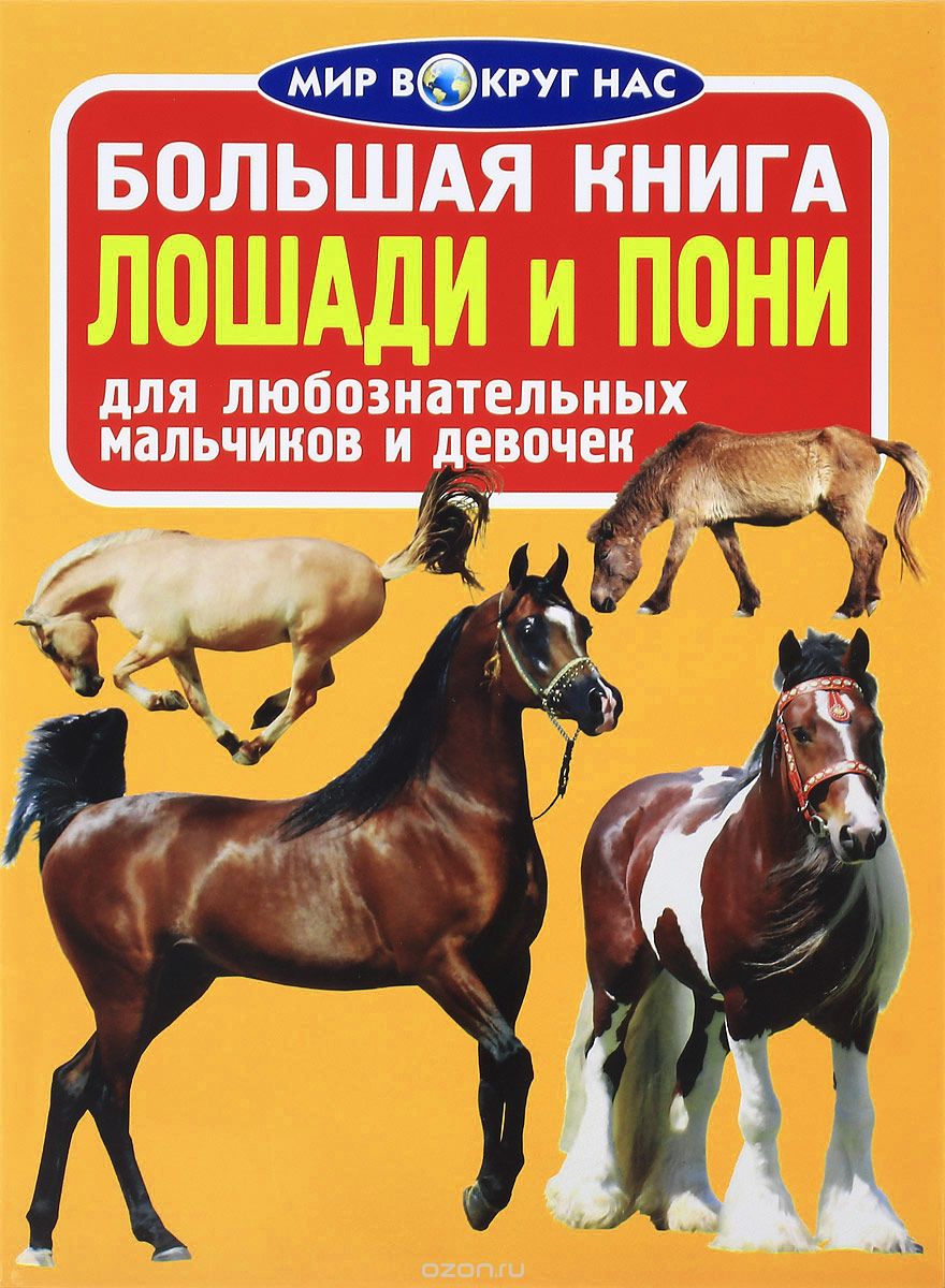 Лошади и пони, О. В. Завязкин