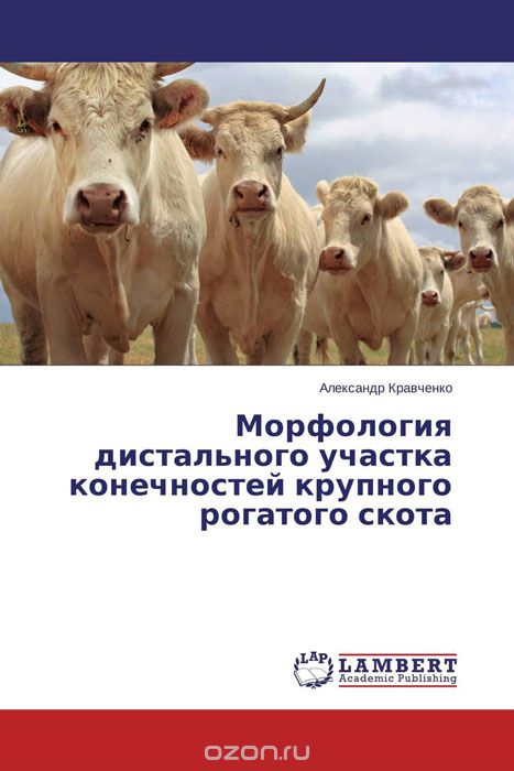 Морфология дистального участка конечностей крупного рогатого скота, Александр Кравченко