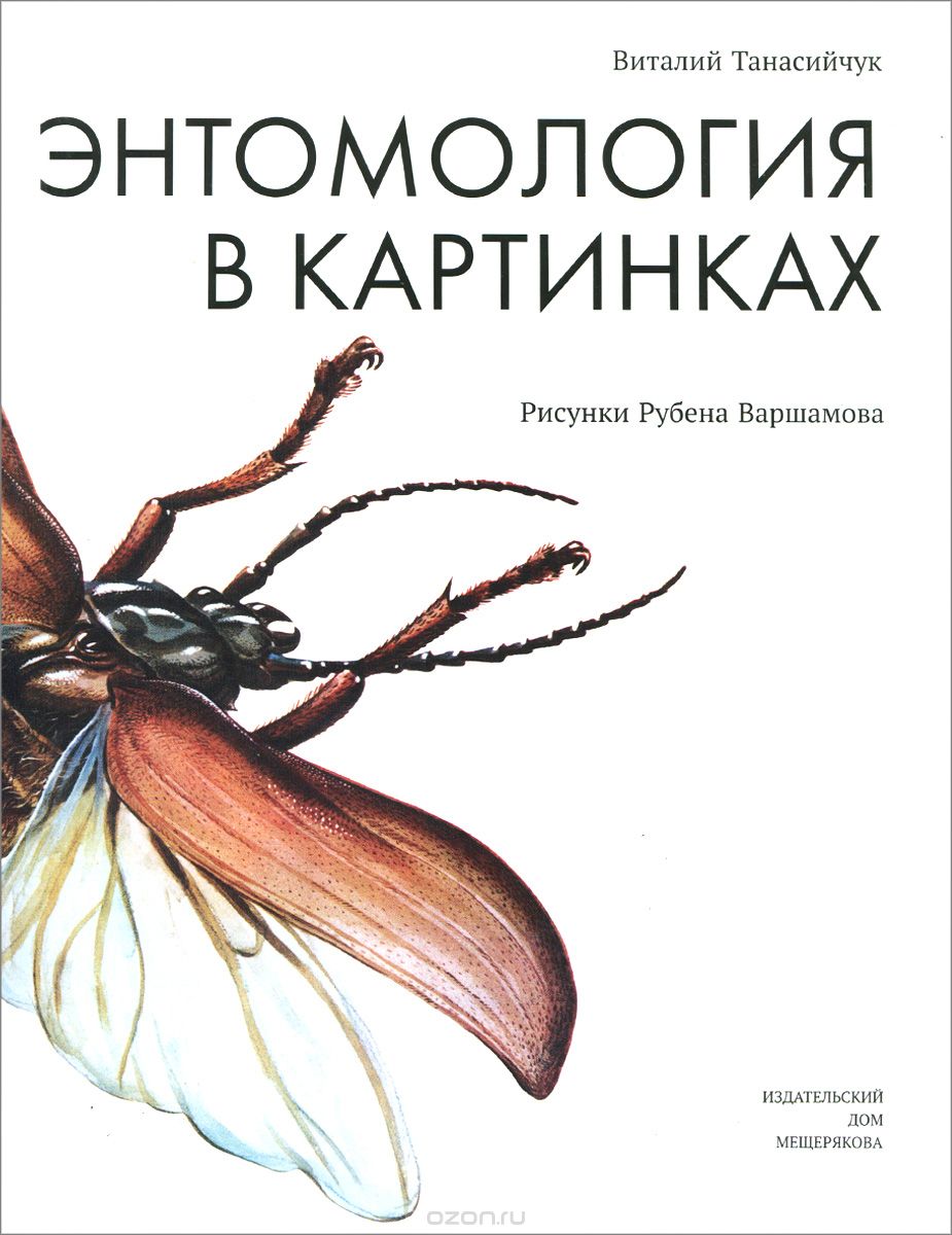 Скачать книгу "Энтомология в картинках, Виталий Танасийчук"