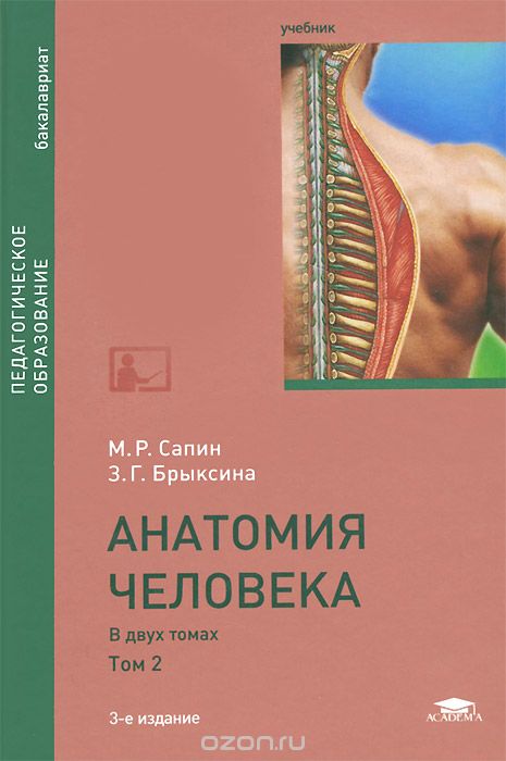 Скачать книгу "Анатомия человека. Учебник. В 2 томах. Том 2, М. Р. Сапин, З. Г. Брыскина"
