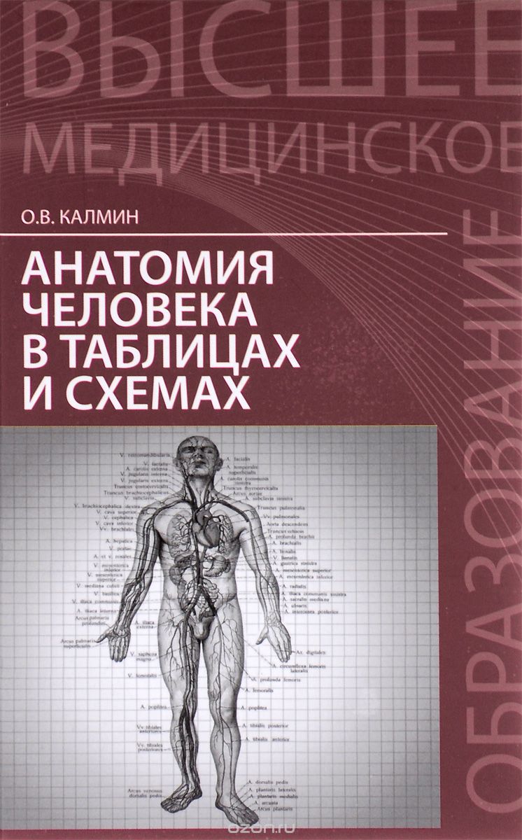 Анатомия человека в таблицах и схемах. Учебное пособие, О. В. Калмин