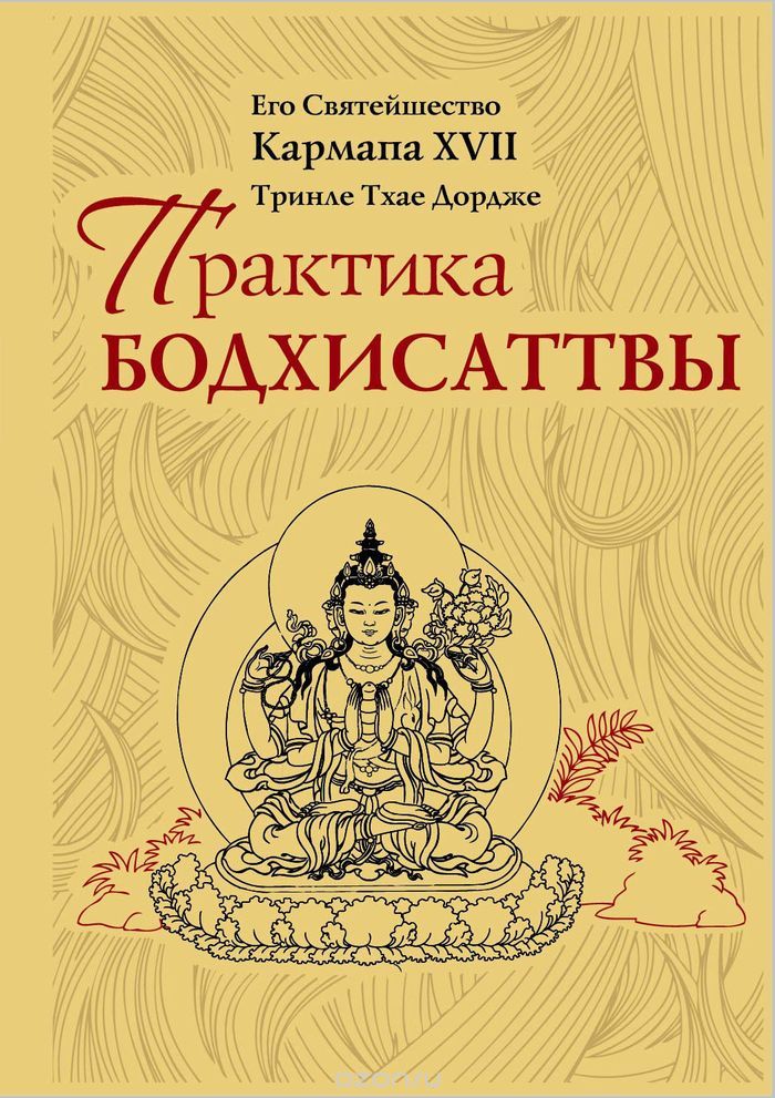 Скачать книгу "Практика Бодхисаттвы, Его Святейшество Кармапа XVII"