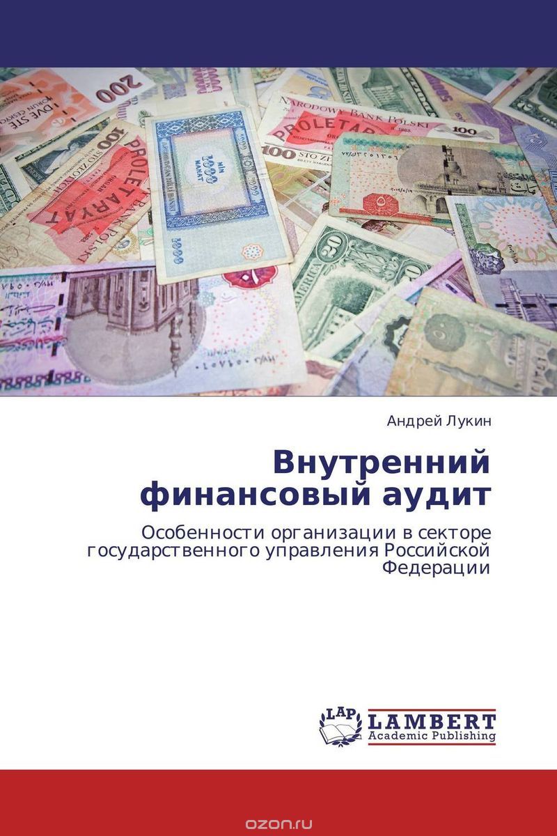 Внутренний финансовый аудит, Андрей Лукин