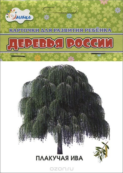 Скачать книгу "Деревья России (набор из 12 карточек)"