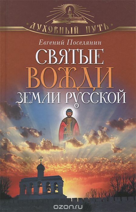 Скачать книгу "Святые вожди земли Русской, Евгений Поселянин"