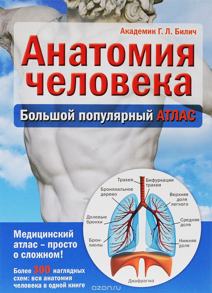 Скачать книгу "Анатомия человека. Большой популярный атлас, Г. Л. Билич"