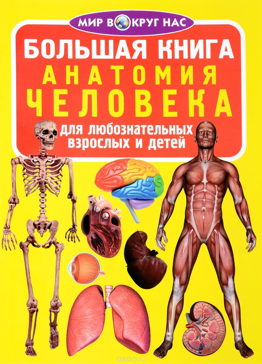 Анатомия человека, О. В. Завязкин