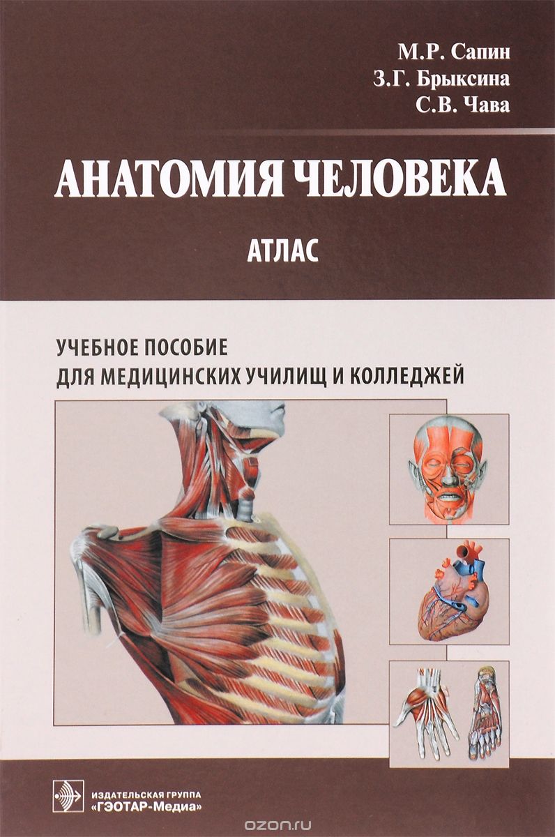 Анатомия человека. Атлас. Учебное пособие, М. Р. Сапин, З. Г. Брыксина, С. В. Чава